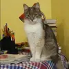Отзыв от Мария Дементьева